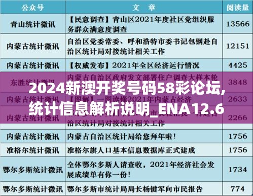 2024新澳开奖号码58彩论坛,统计信息解析说明_ENA12.6