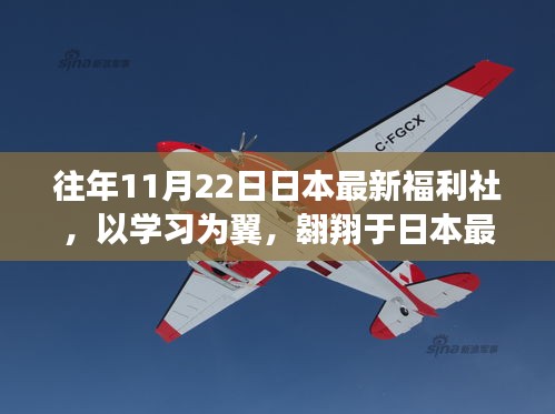 励志与变化，日本最新福利社的学习之旅与翱翔天空的故事