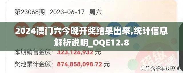 2024澳门六今晚开奖结果出来,统计信息解析说明_OQE12.8