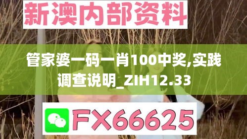 管家婆一码一肖100中奖,实践调查说明_ZIH12.33