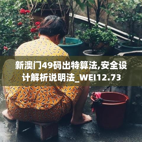 新澳门49码出特算法,安全设计解析说明法_WEI12.73