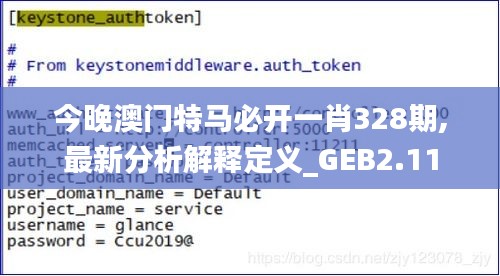 今晚澳门特马必开一肖328期,最新分析解释定义_GEB2.11