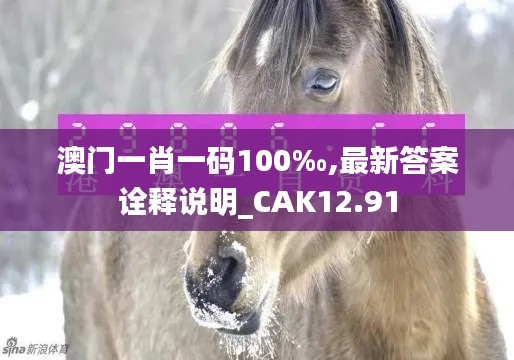 澳门一肖一码100‰,最新答案诠释说明_CAK12.91