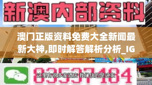 澳门正版资料免费大全新闻最新大神,即时解答解析分析_IGC12.4