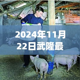 2024年11月22日武隆最新疫情，武隆疫情下的励志之光，学习变化带来的自信与成就感