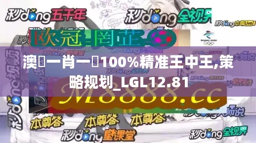 澳門一肖一碼100%精准王中王,策略规划_LGL12.81