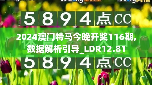 2024澳门特马今晚开奖116期,数据解析引导_LDR12.81