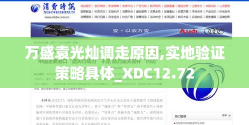 万盛袁光灿调走原因,实地验证策略具体_XDC12.72