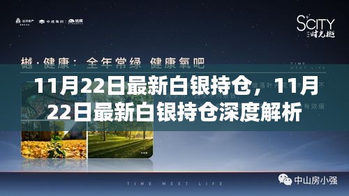 白银最新持仓深度解析，最新数据与趋势分析（11月22日）