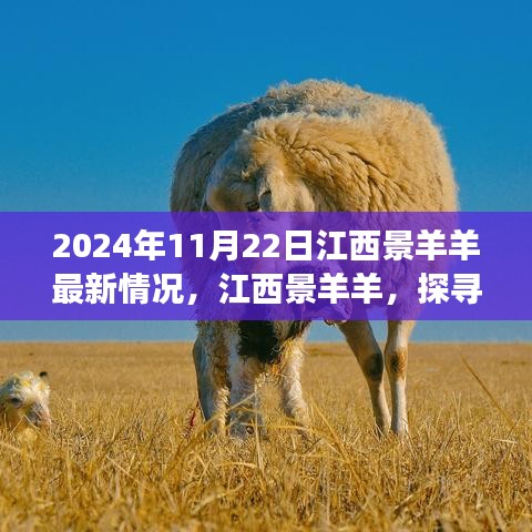 江西景羊羊最新进展与深远影响，时空背景下的探寻（2024年11月22日）