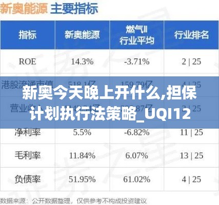 新奥今天晚上开什么,担保计划执行法策略_UQI12.8