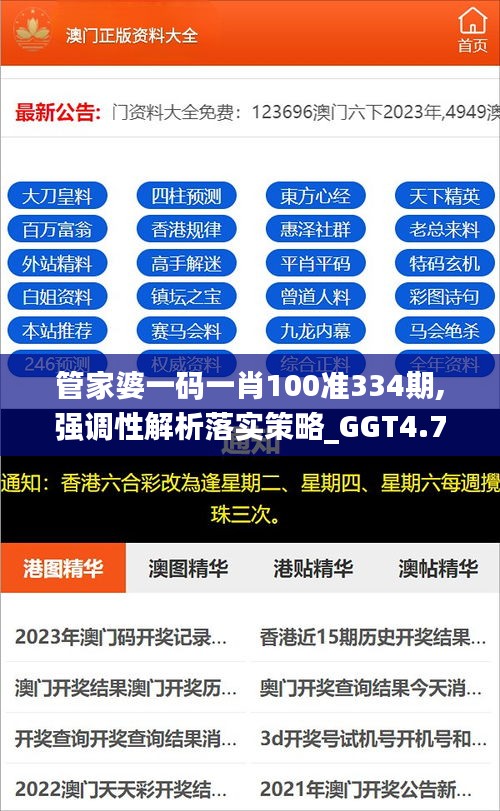 管家婆一码一肖100准334期,强调性解析落实策略_GGT4.79