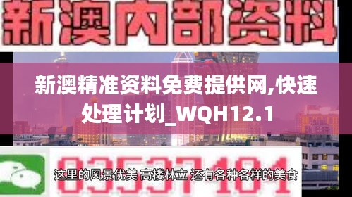 新澳精准资料免费提供网,快速处理计划_WQH12.1