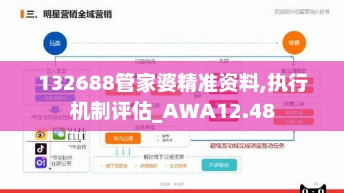 132688管家婆精准资料,执行机制评估_AWA12.48