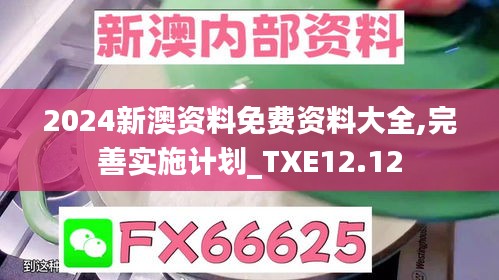 2024新澳资料免费资料大全,完善实施计划_TXE12.12