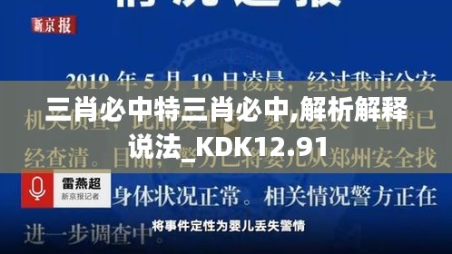 三肖必中特三肖必中,解析解释说法_KDK12.91