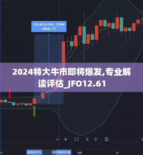 2024特大牛市即将爆发,专业解读评估_JFO12.61