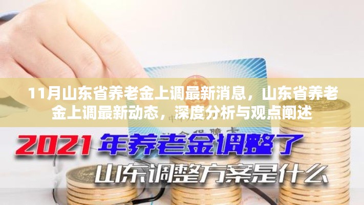 山东省养老金上调最新动态及深度分析与观点阐述