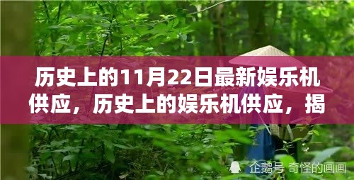 揭秘，历史上的娱乐机供应与特殊意义下的11月22日