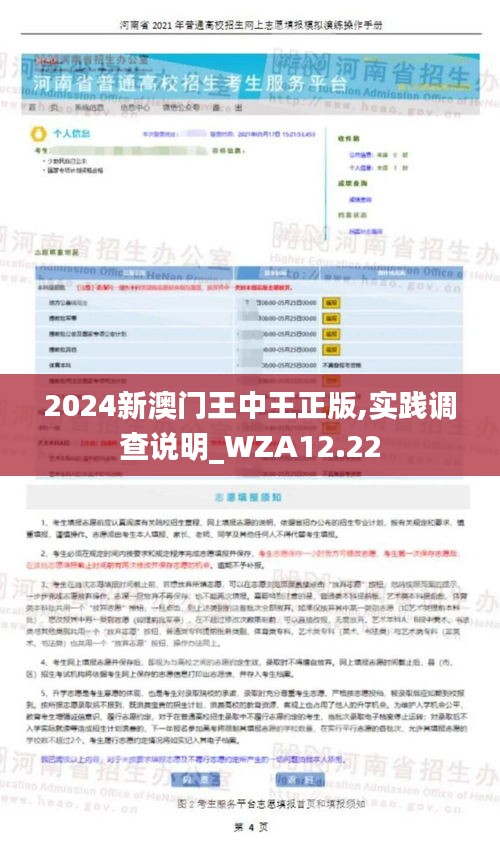 2024新澳门王中王正版,实践调查说明_WZA12.22