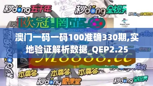 澳门一码一码100准确330期,实地验证解析数据_QEP2.25