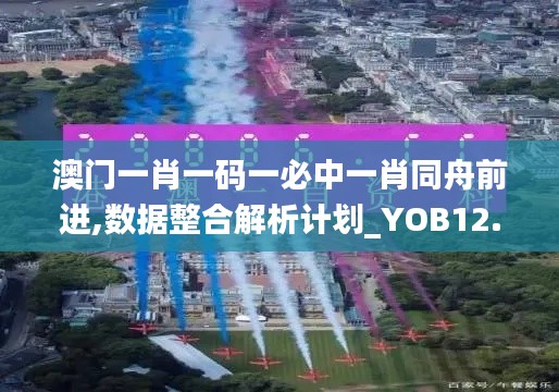 澳门一肖一码一必中一肖同舟前进,数据整合解析计划_YOB12.29