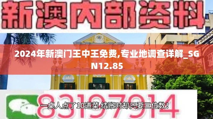 2024年新澳门王中王免费,专业地调查详解_SGN12.85