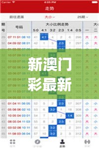 新澳门彩最新开奖结果,稳健设计策略_DZT12.21