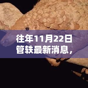 揭秘管轶在往年11月22日的最新动态与成就报道