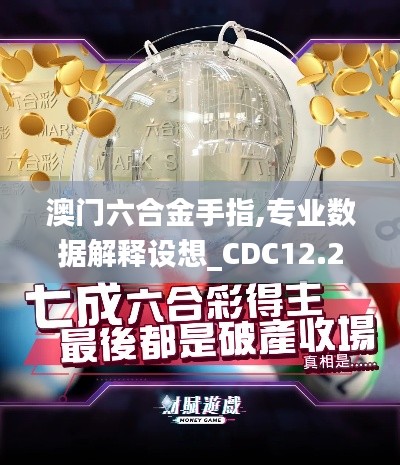 澳门六合金手指,专业数据解释设想_CDC12.29