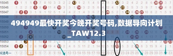 494949最快开奖今晚开奖号码,数据导向计划_TAW12.3