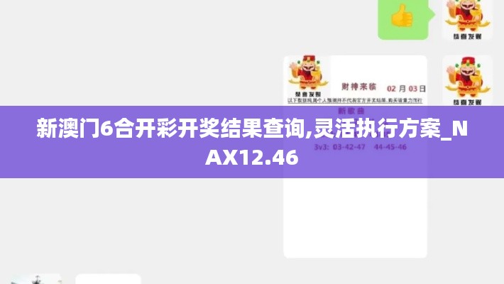 新澳门6合开彩开奖结果查询,灵活执行方案_NAX12.46