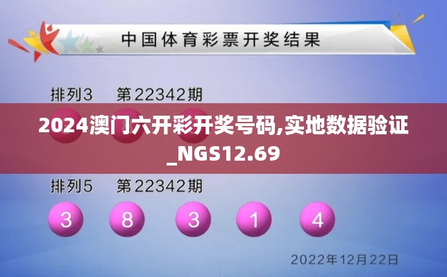 2024澳门六开彩开奖号码,实地数据验证_NGS12.69