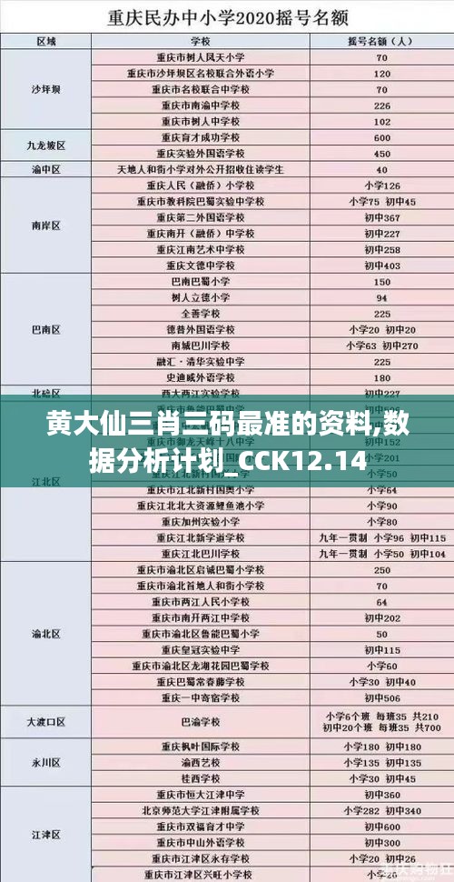 黄大仙三肖三码最准的资料,数据分析计划_CCK12.14