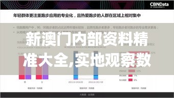 新澳门内部资料精准大全,实地观察数据设计_XMB12.99