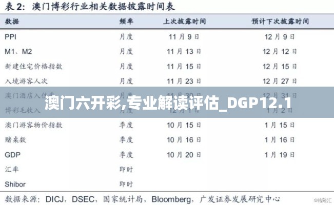 澳门六开彩,专业解读评估_DGP12.1