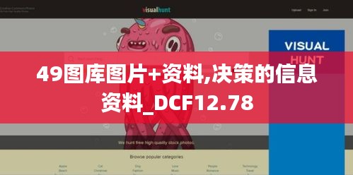 49图库图片+资料,决策的信息资料_DCF12.78