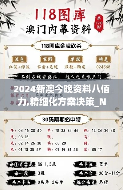 2024新澳今晚资料八佰力,精细化方案决策_NKI12.69