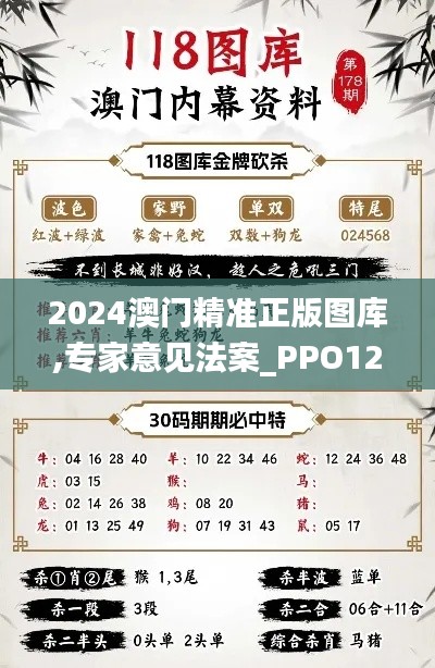 2024澳门精准正版图库,专家意见法案_PPO12.10