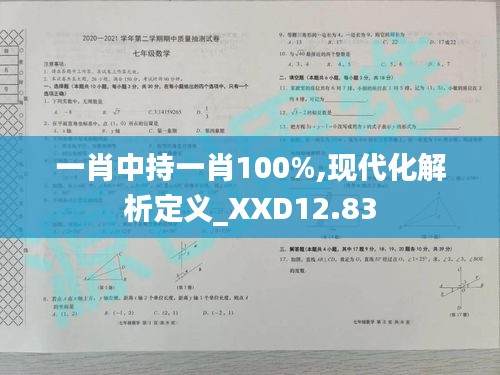 一肖中持一肖100%,现代化解析定义_XXD12.83