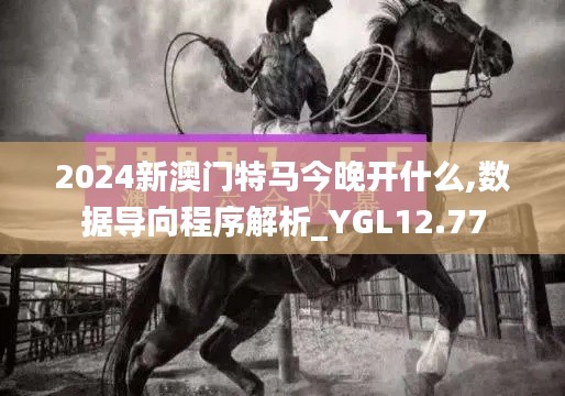 2024新澳门特马今晚开什么,数据导向程序解析_YGL12.77