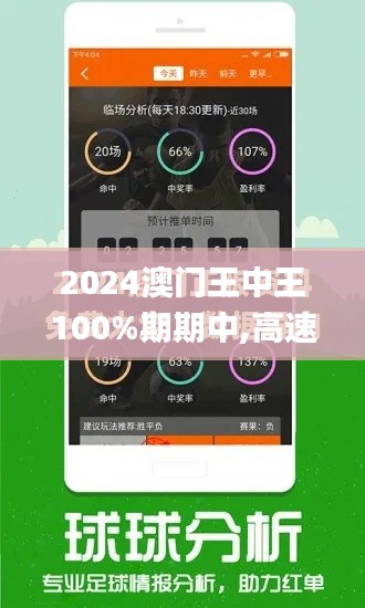 2024澳门王中王100%期期中,高速响应计划执行_NIY12.37