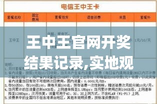 王中王官网开奖结果记录,实地观察数据设计_JSB12.64