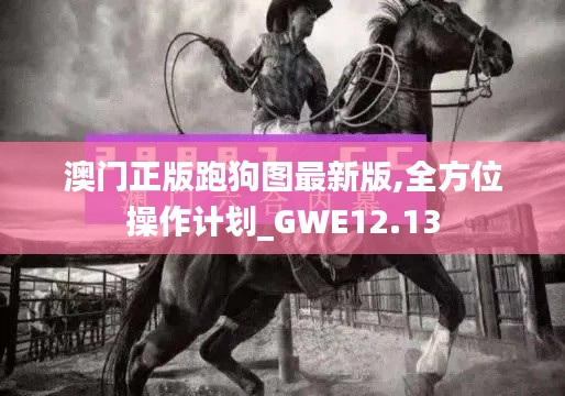 澳门正版跑狗图最新版,全方位操作计划_GWE12.13