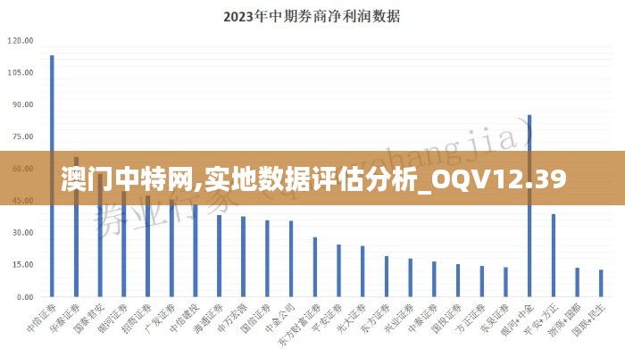 澳门中特网,实地数据评估分析_OQV12.39