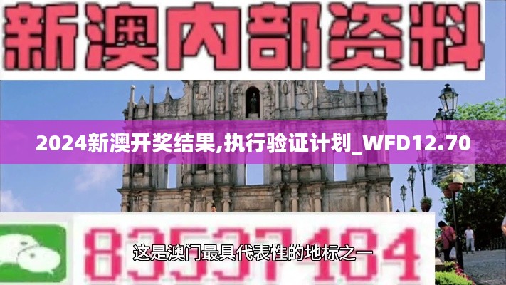 2024新澳开奖结果,执行验证计划_WFD12.70