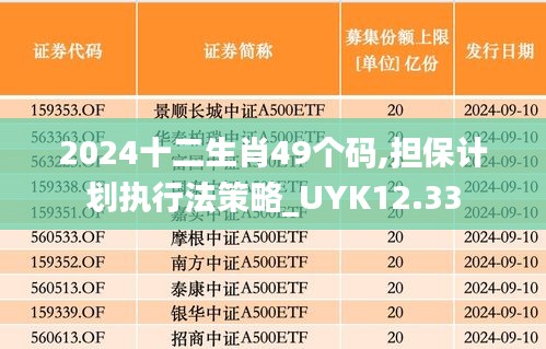 2024十二生肖49个码,担保计划执行法策略_UYK12.33