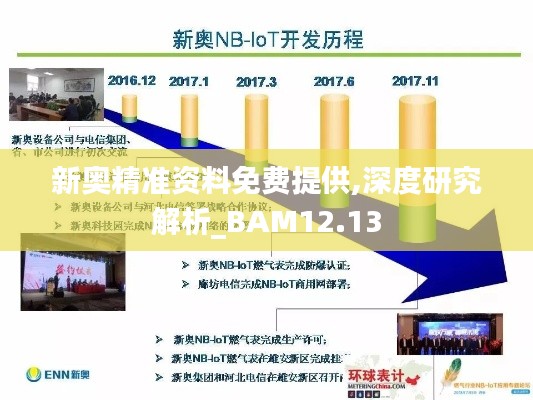 新奥精准资料免费提供,深度研究解析_BAM12.13