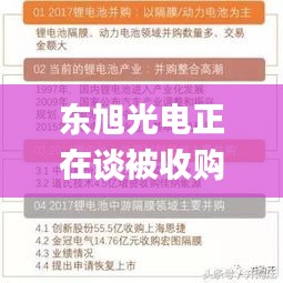 东旭光电正在谈被收购事宜,社会责任实施_VIZ12.49