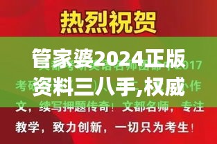 管家婆2024正版资料三八手,权威解析方法_ITK12.74